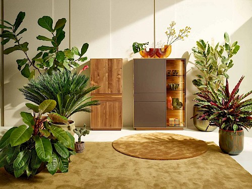 Anrei Puro Wohnwand mit Sideboard und Vitrine in Asteiche und Farbglas